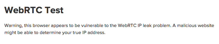 Web RTC Test - Vulnerable