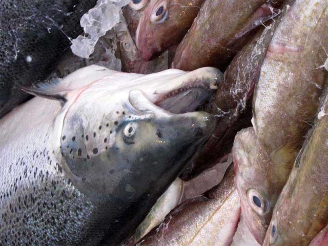 Lenovo’s Superfish adware bites!