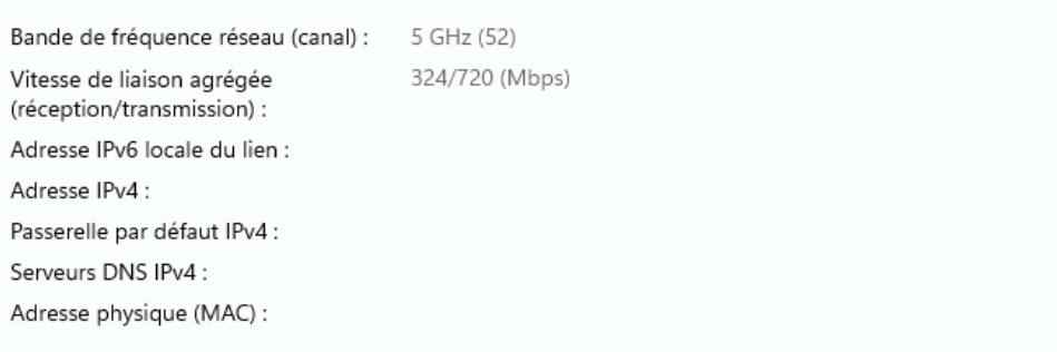 Part of the network properties page, showing the router as the primary DNS server.