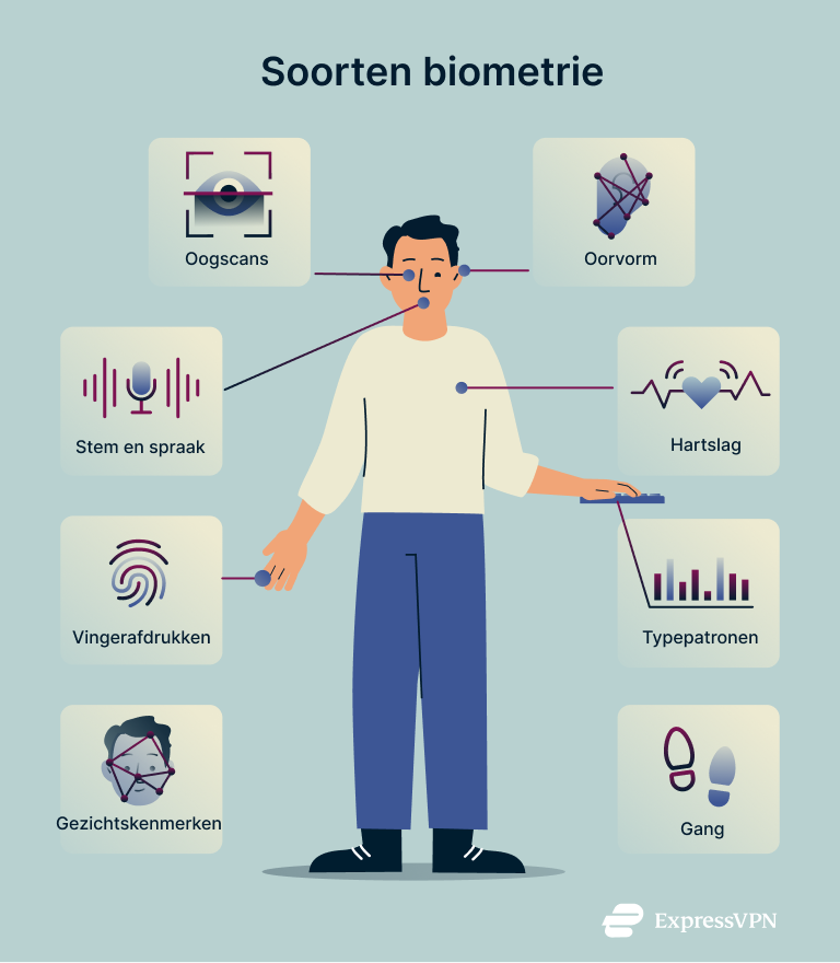 What Is Biometrics Types Of Biometrics 1 1 2
