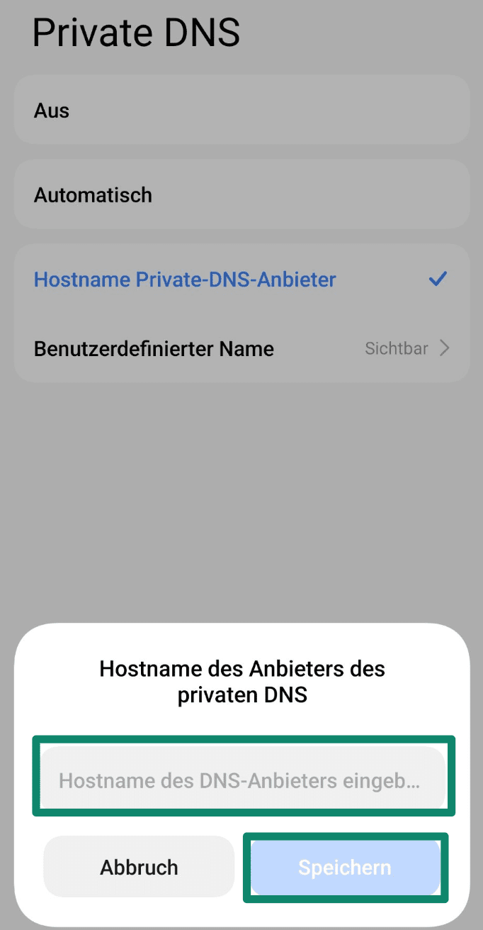 Enter The Dns Provider Settings De