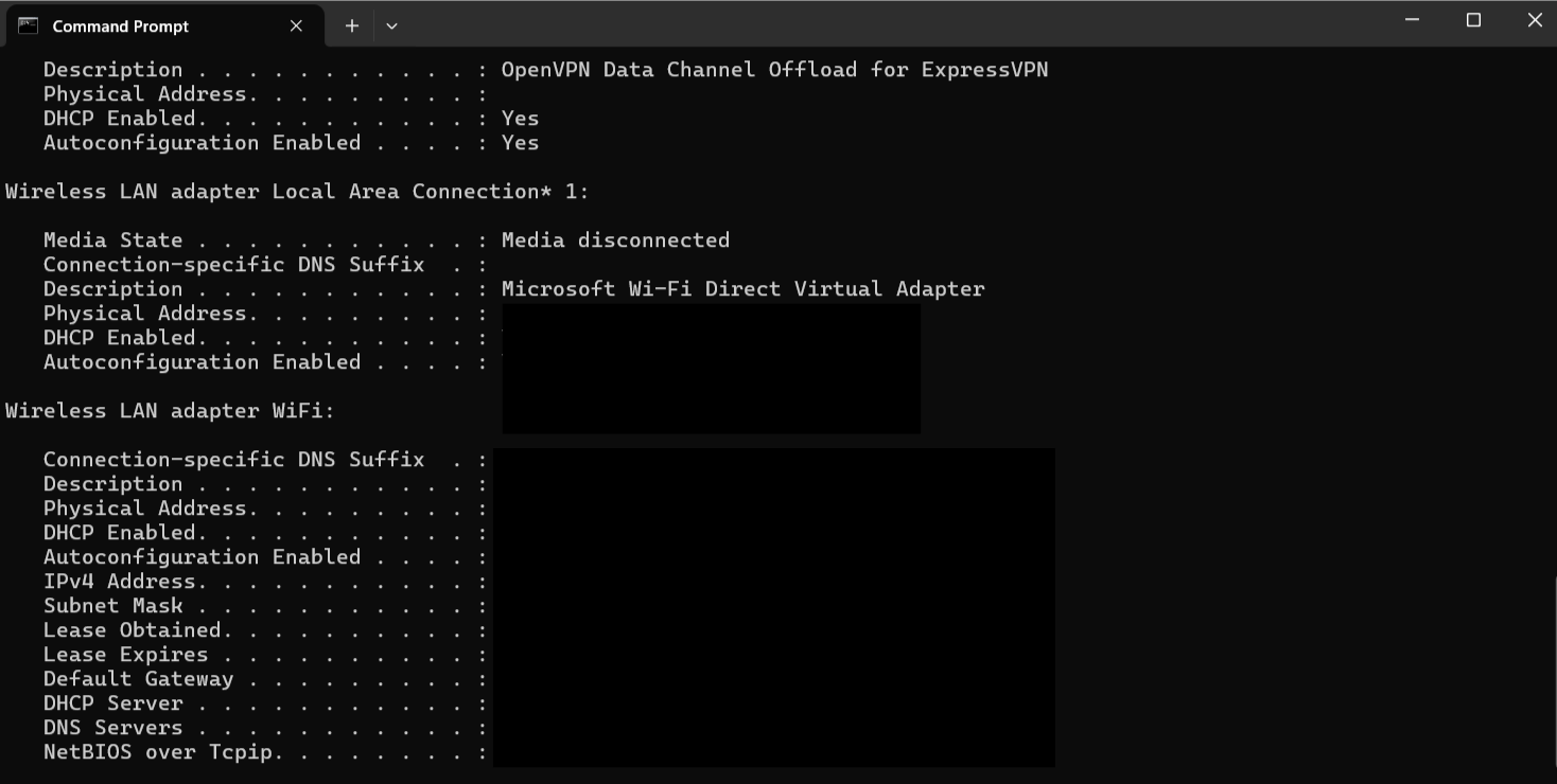 The Command Prompt screen showing the current DNS server address.