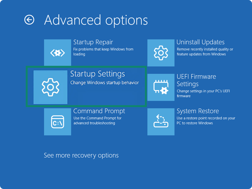 Screenshot showing the Advanced options in the Recovery Menu on a Windows system, with Startup Settings to be selected