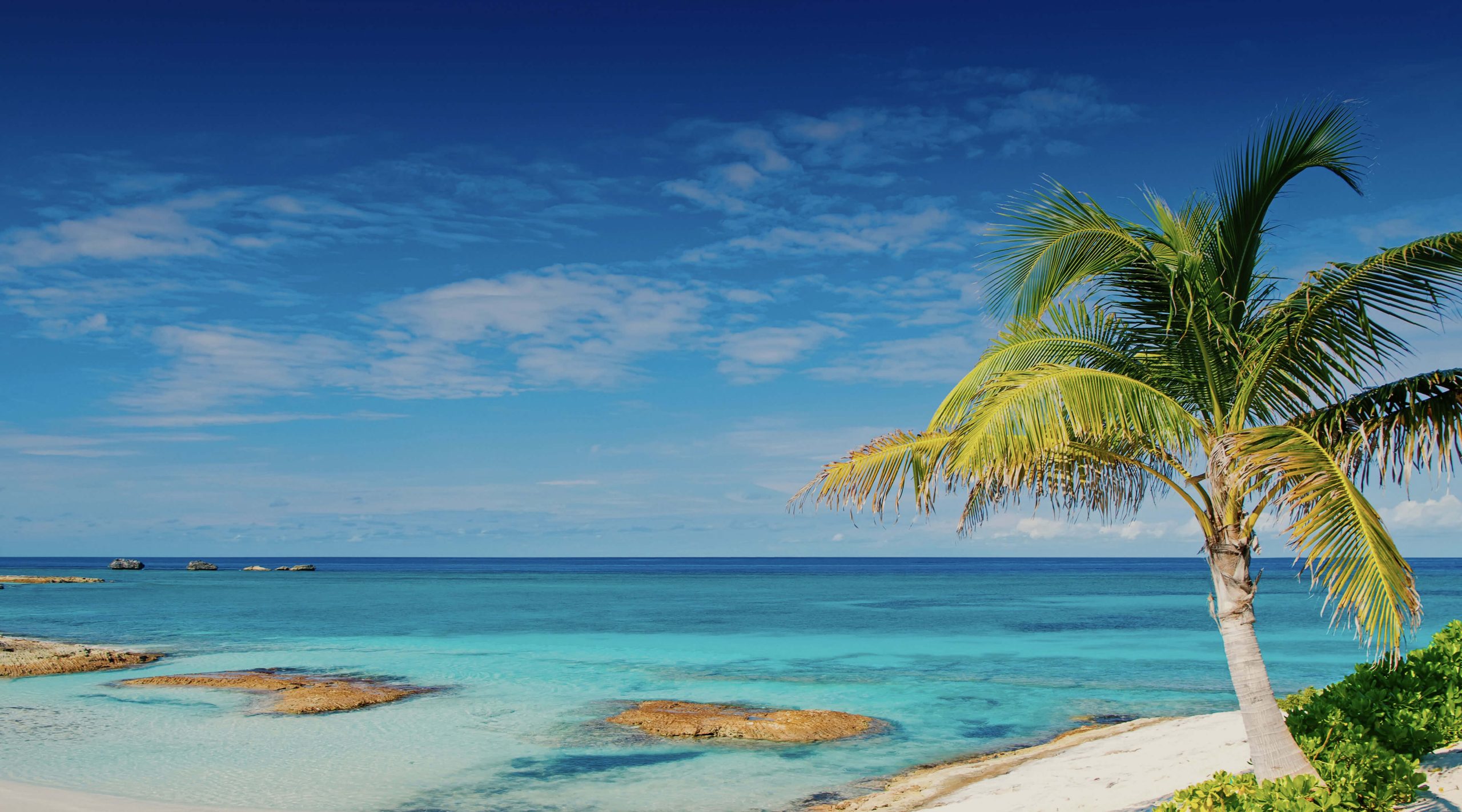 ดาวน์โหลด VPN ที่ดีที่สุดสำหรับบาฮามาสในปี 2025