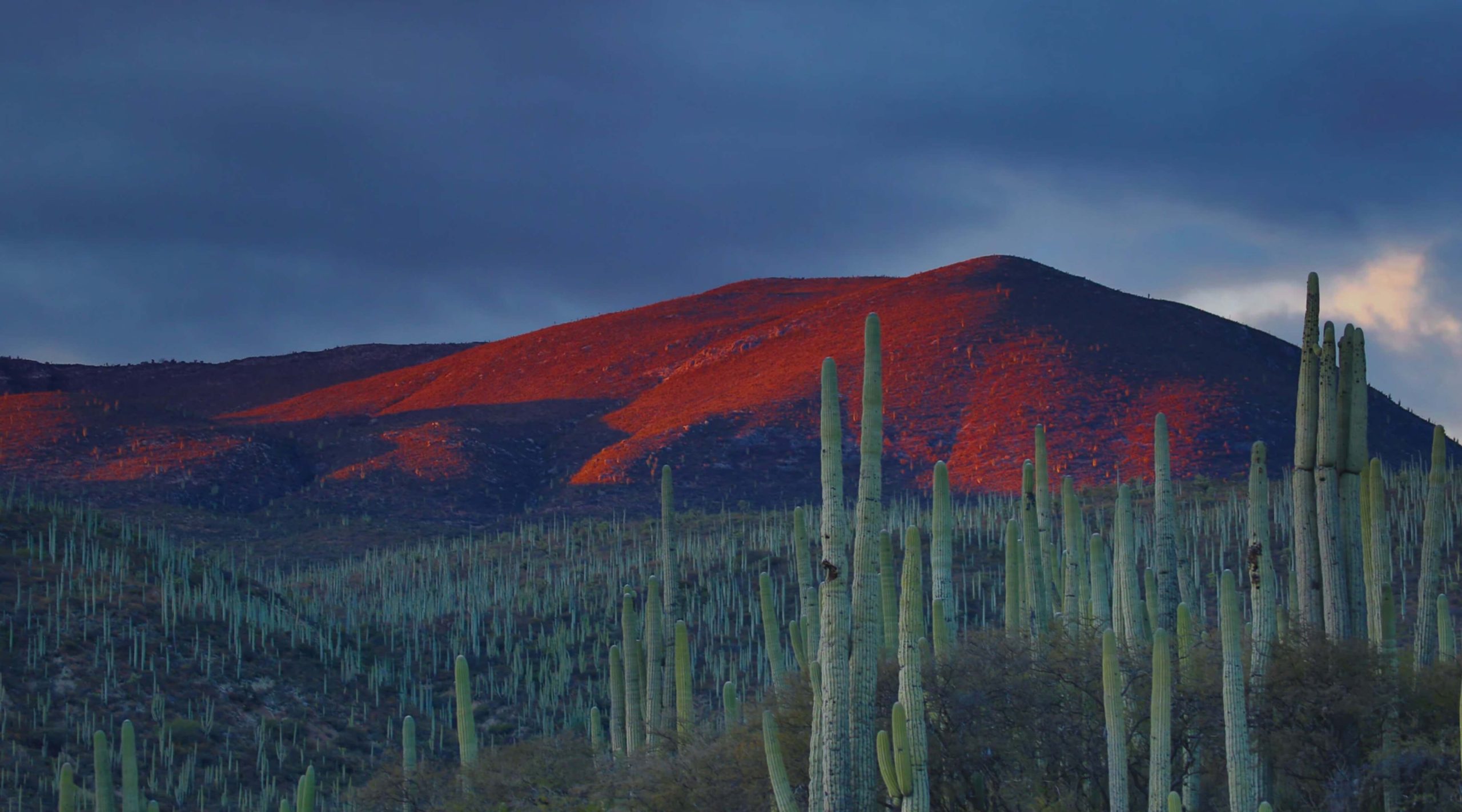 2025'te Meksika için en iyi VPN'i indirin