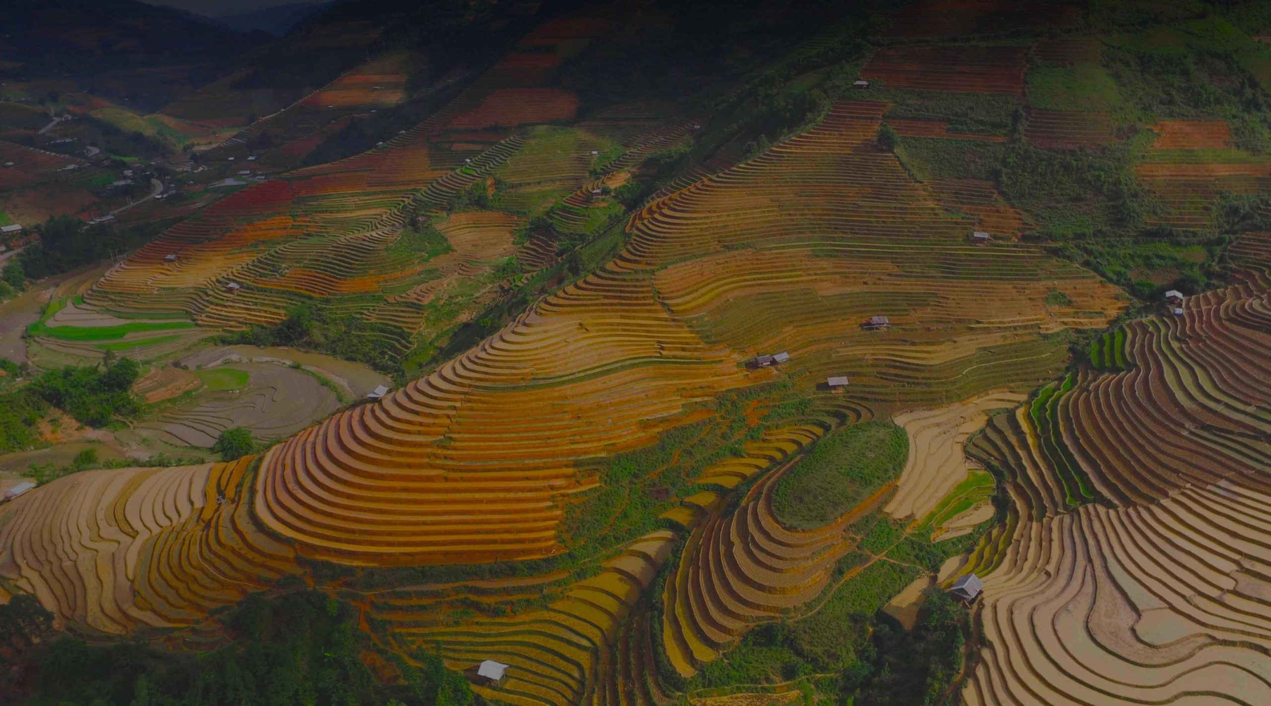 Paras VPN-palvelu Vietnamissa