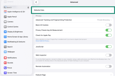 Website Data option in Advanced on Safari.