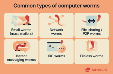 Common types of computer worms and how they spread.