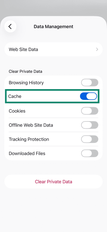 The iOS Firefox Data Management menu, emphasizing the Cache option.