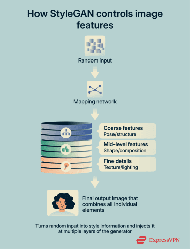 Infographic showing how StyleGAN controls image features.