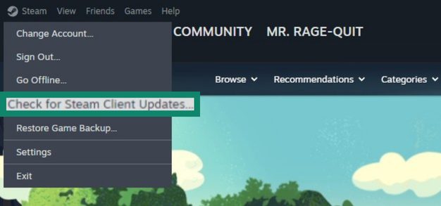 The "Check for Steam Client Updates..." option in the Steam interface.