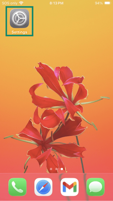 IPhone home screen with Settings app highlighted.