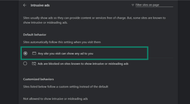 The "Any site you visit can show any ad to you" option in Instrusive ad settings on Chrome.