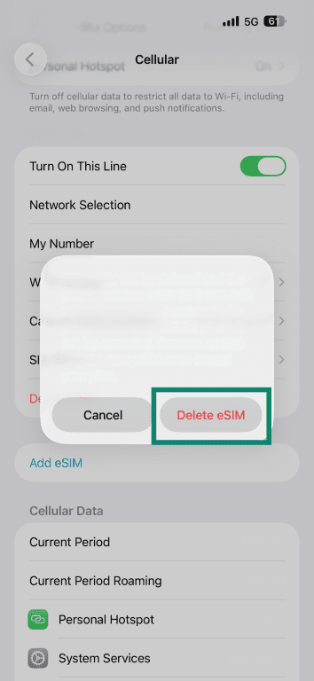 A prompt in iOS settings when deleting an eSIM, asking for confirmation.