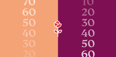 A dozen final roses: ‘The Bachelor’ by the numbers